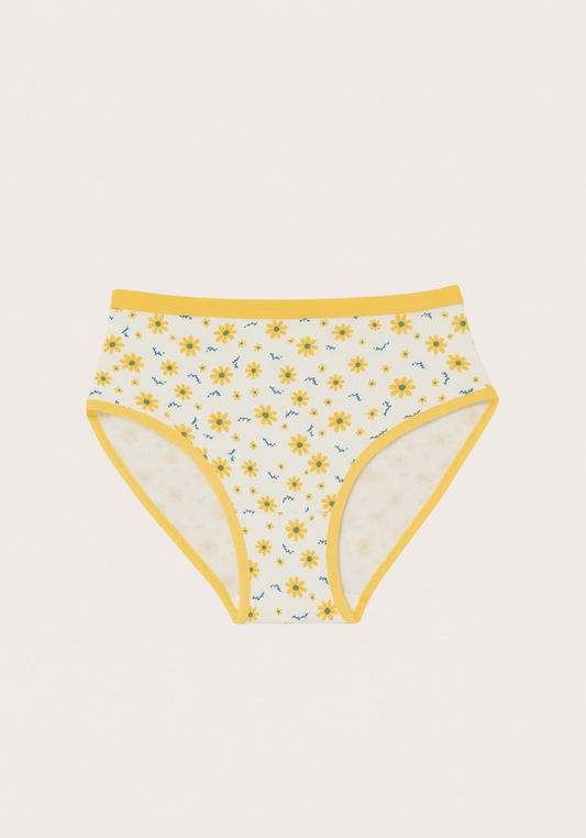 Brief Stock Panty