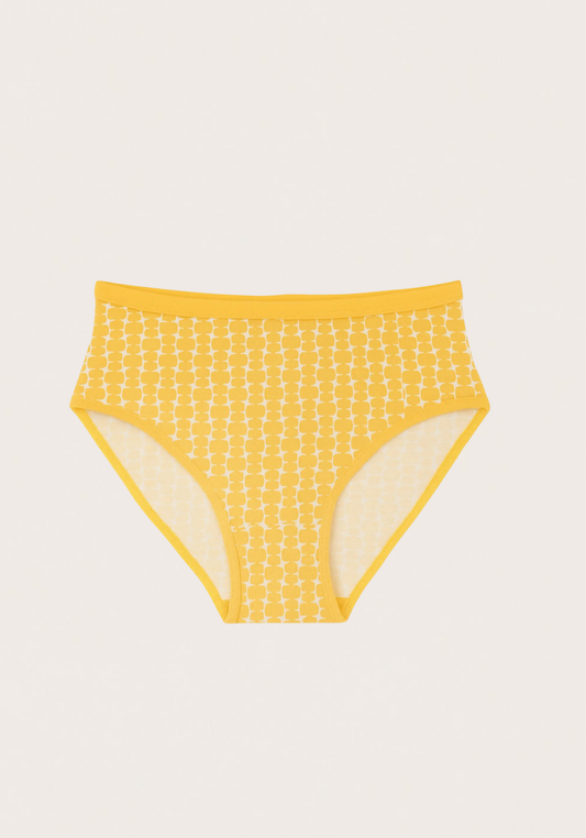 Brief Stock Panty