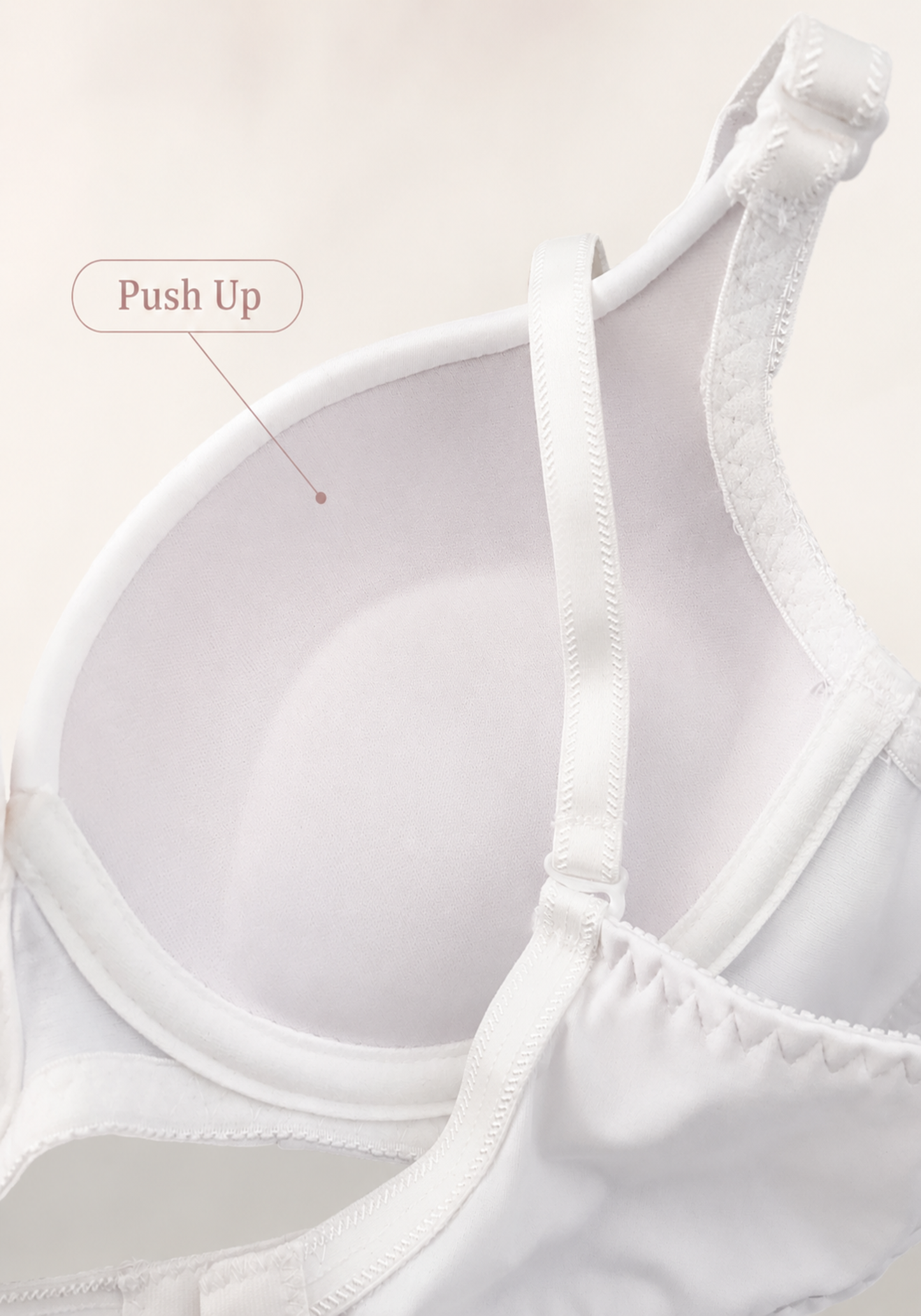 Basic Bra: Daily Padded Bra