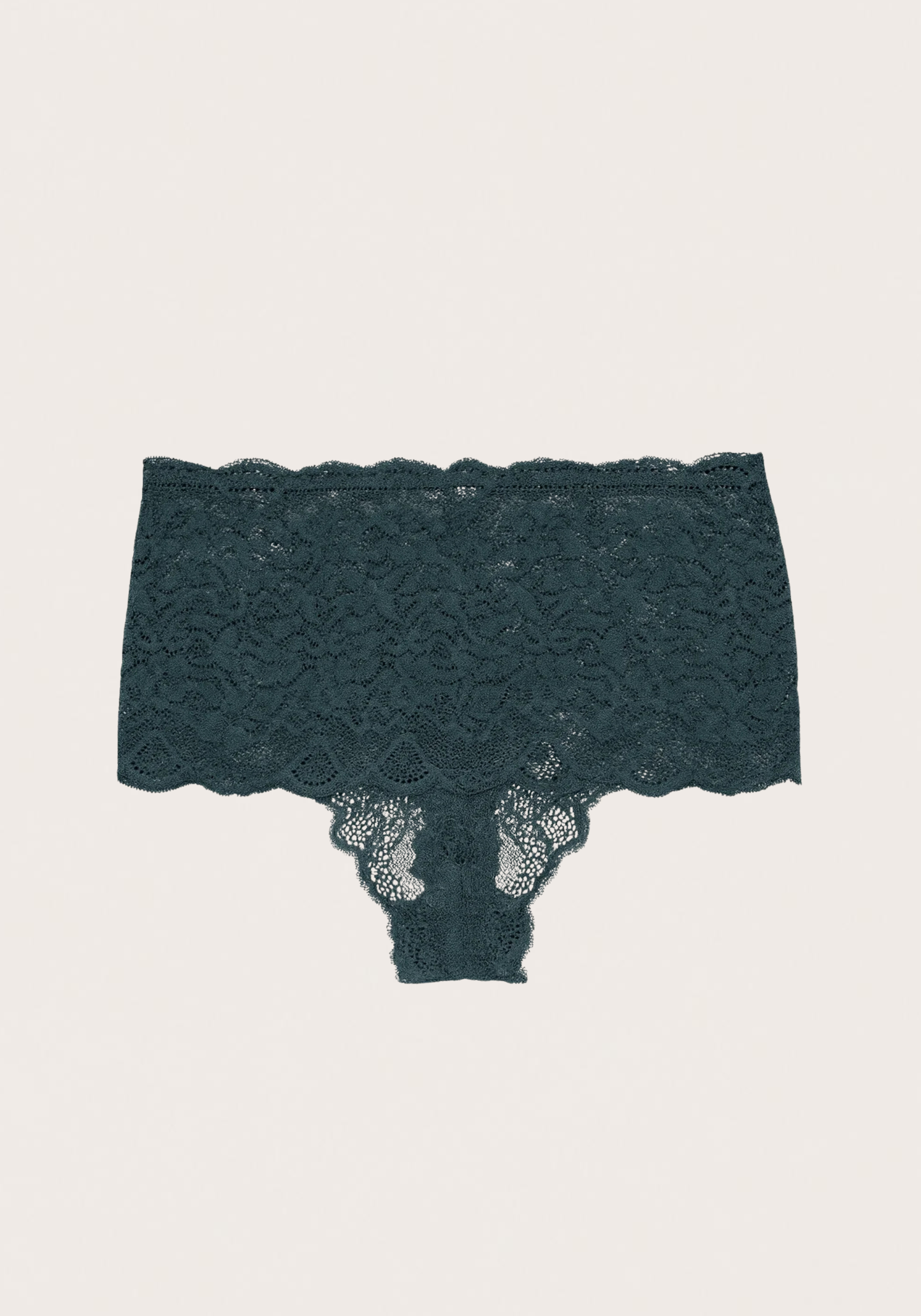 Hi Waist Tanga Lace Panty