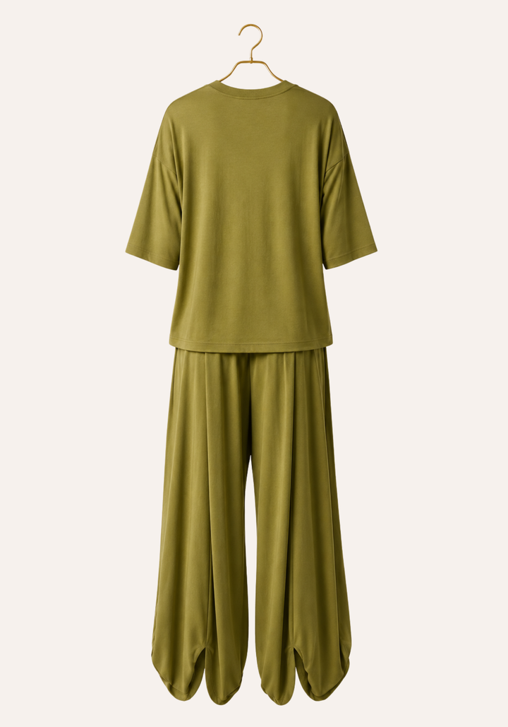 Plain Long Sleeve Top And Shelwar Pants