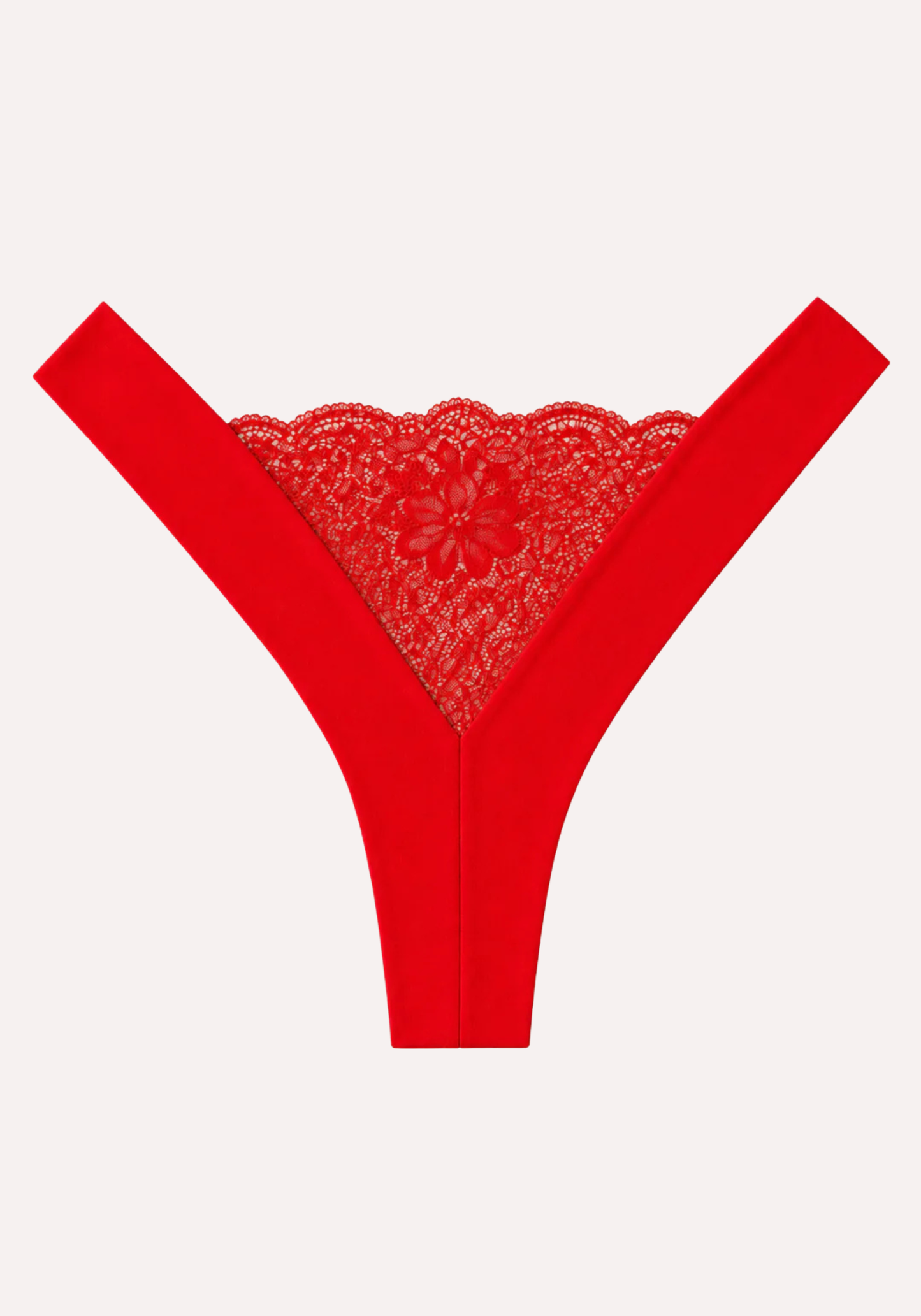 V-Band Lace Panties