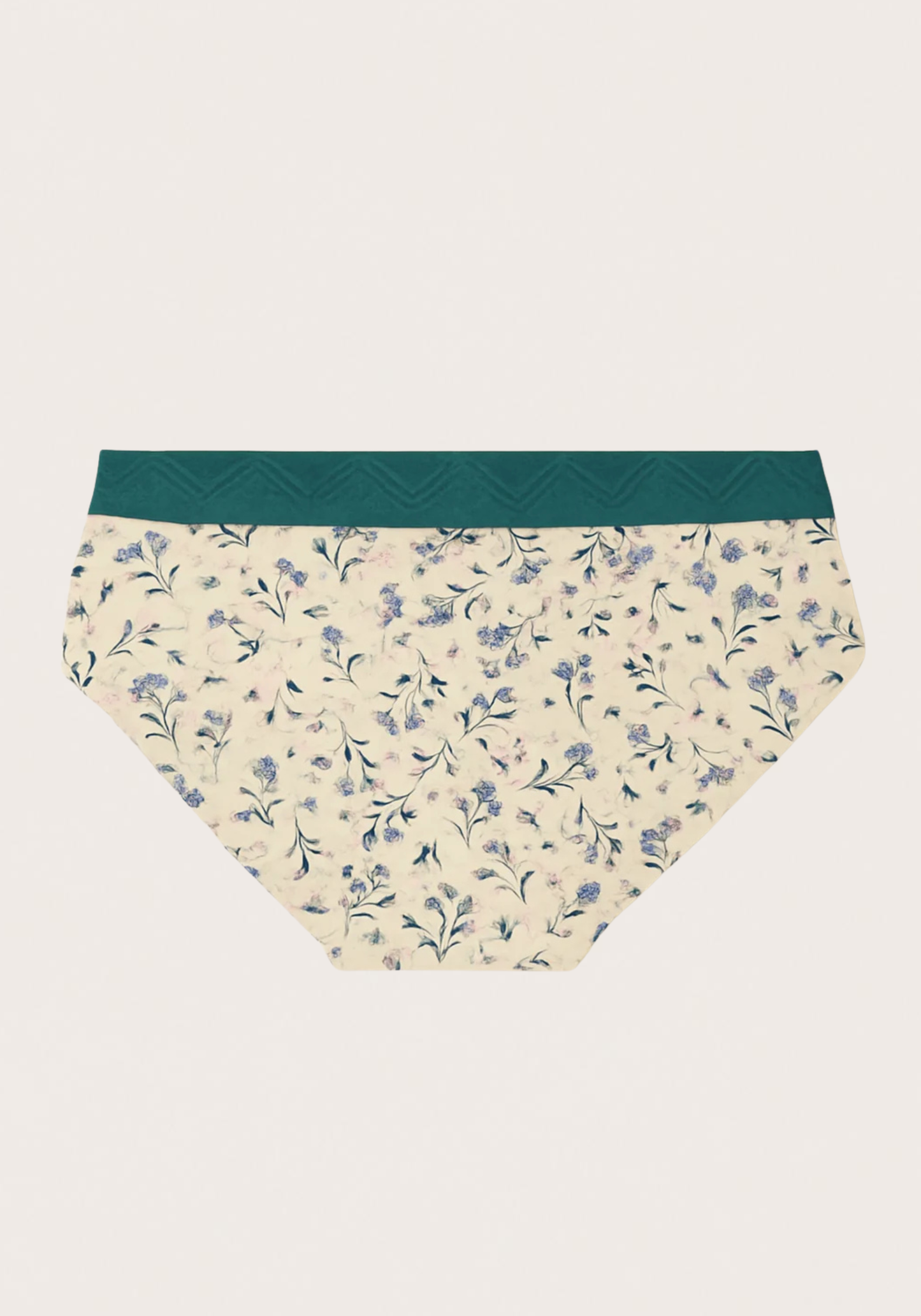 Hi Waist Wide Band Printed Panties