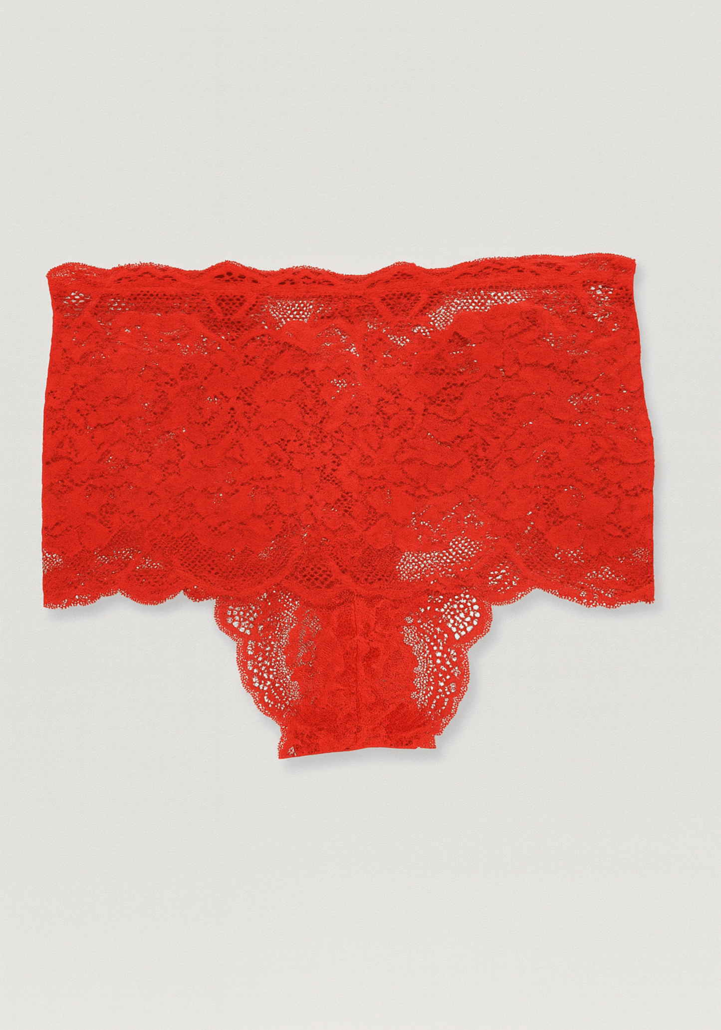 UNDR Hi Waist Tanga Lace Panty