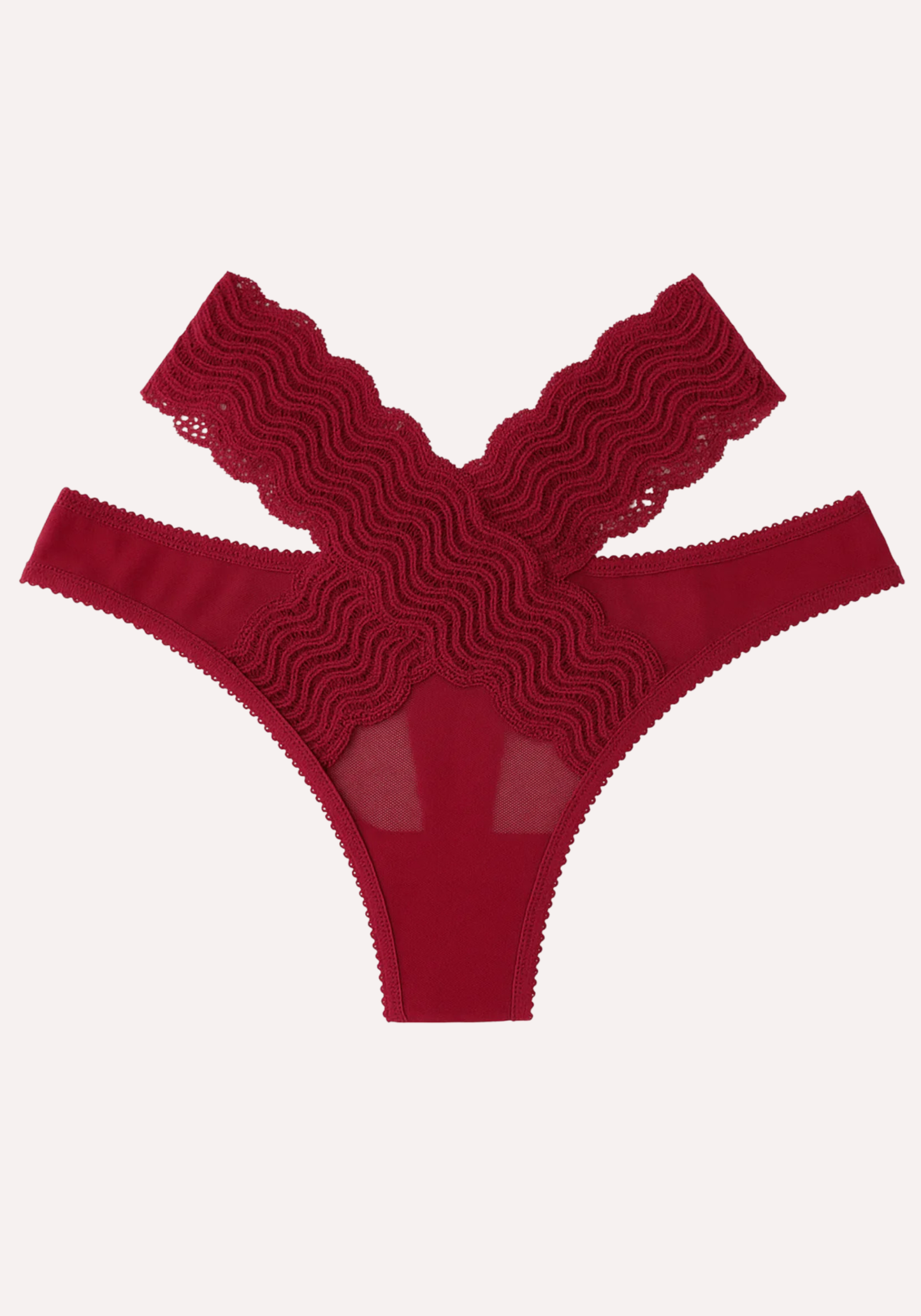 Front Back X-Lace Mesh Bikini