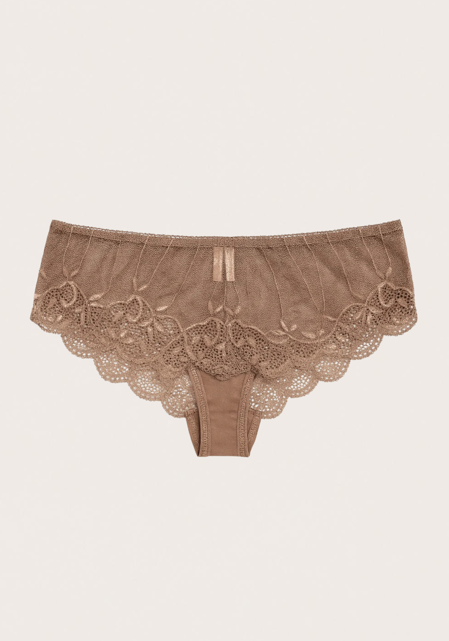 Lace Hipster Panty