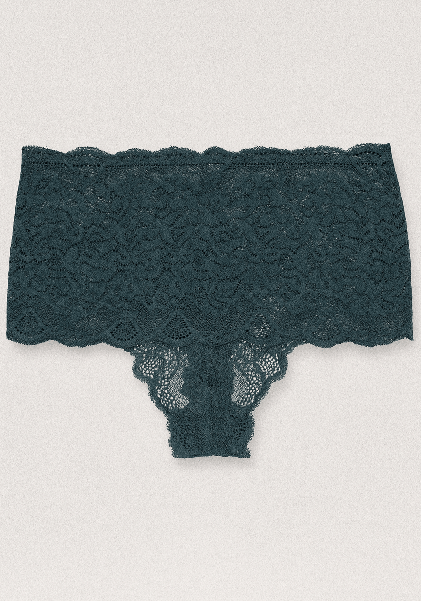 UNDR Hi Waist Tanga Lace Panty