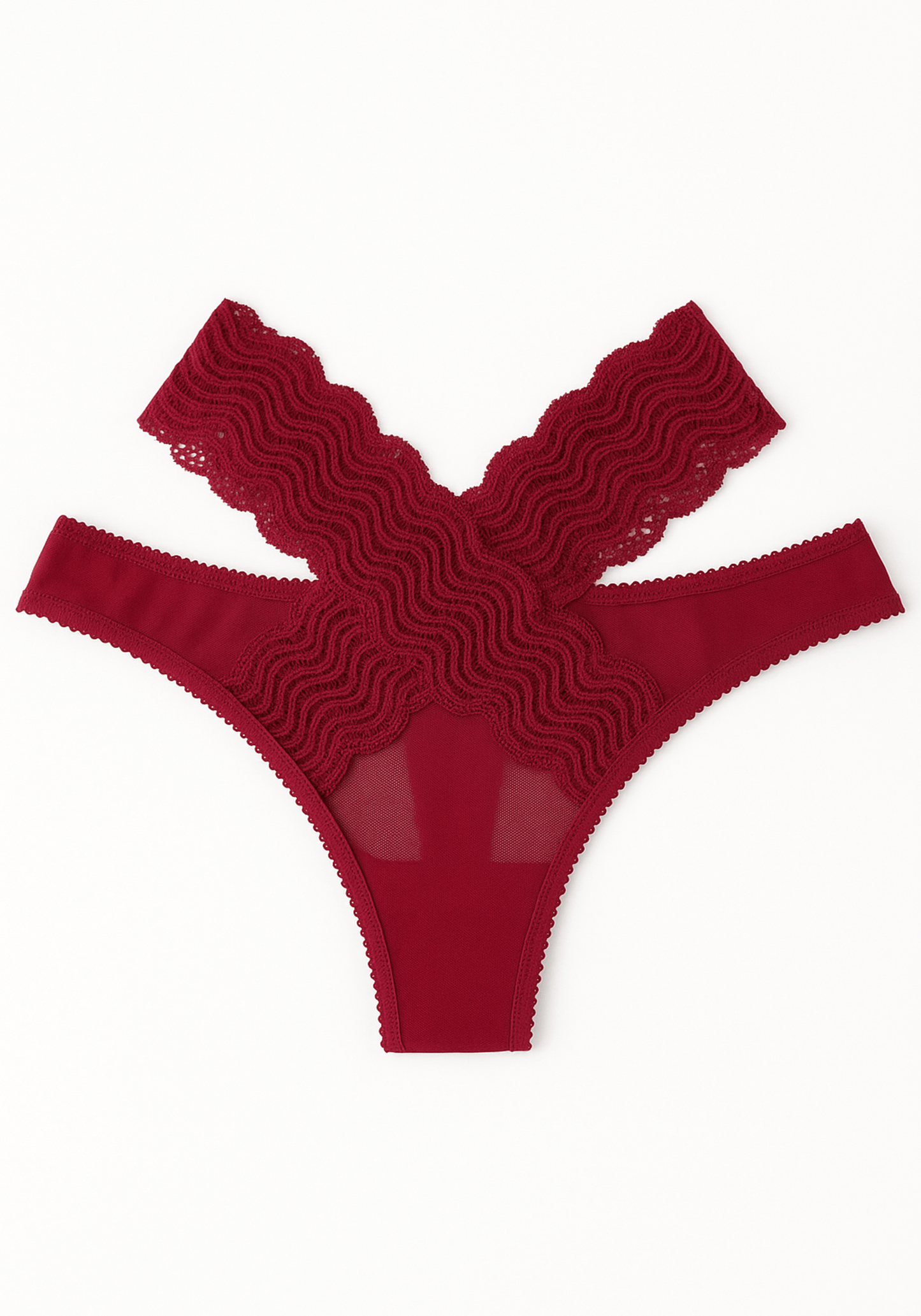 Front Back X-Lace Mesh Bikini