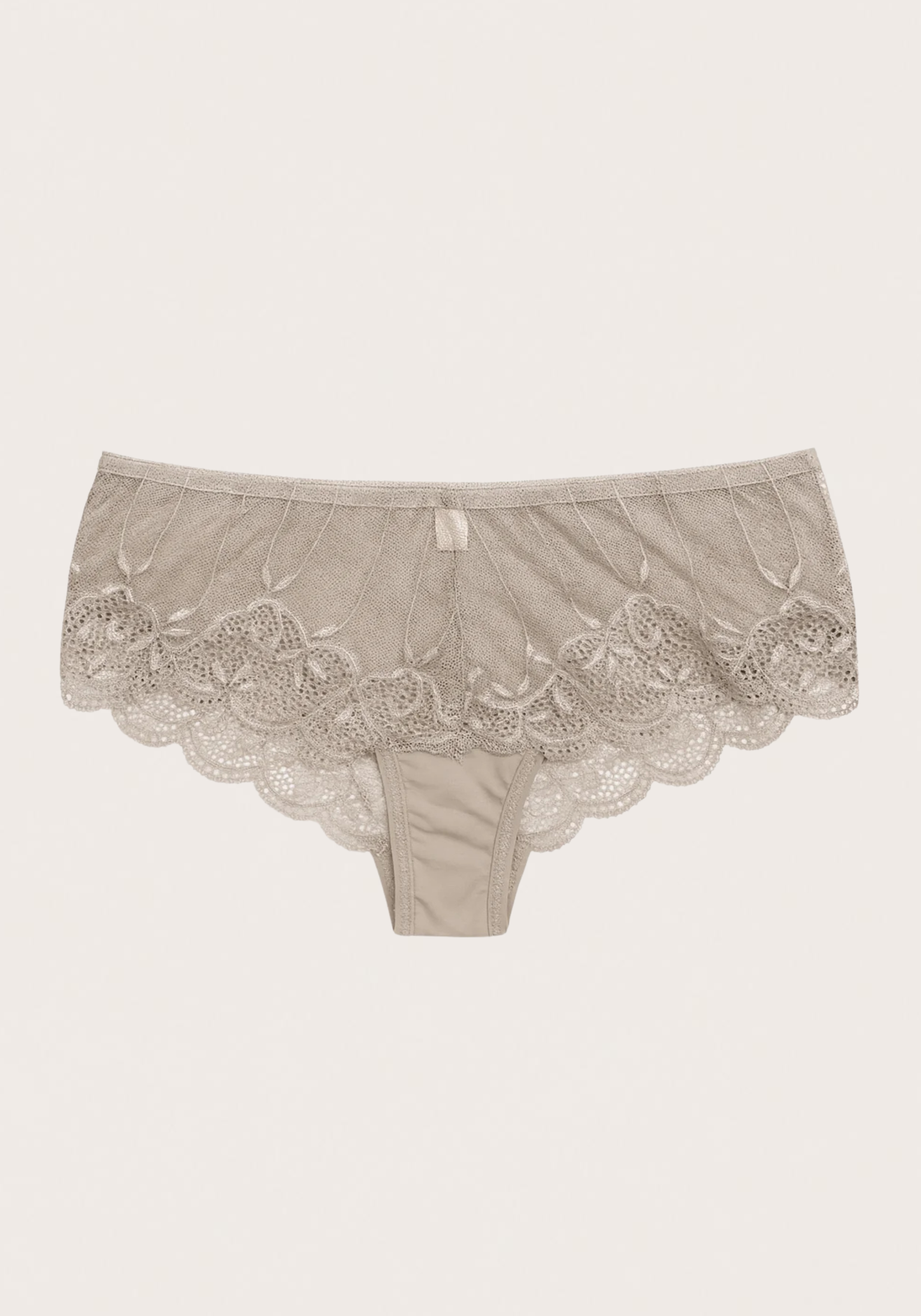 Lace Hipster Panty