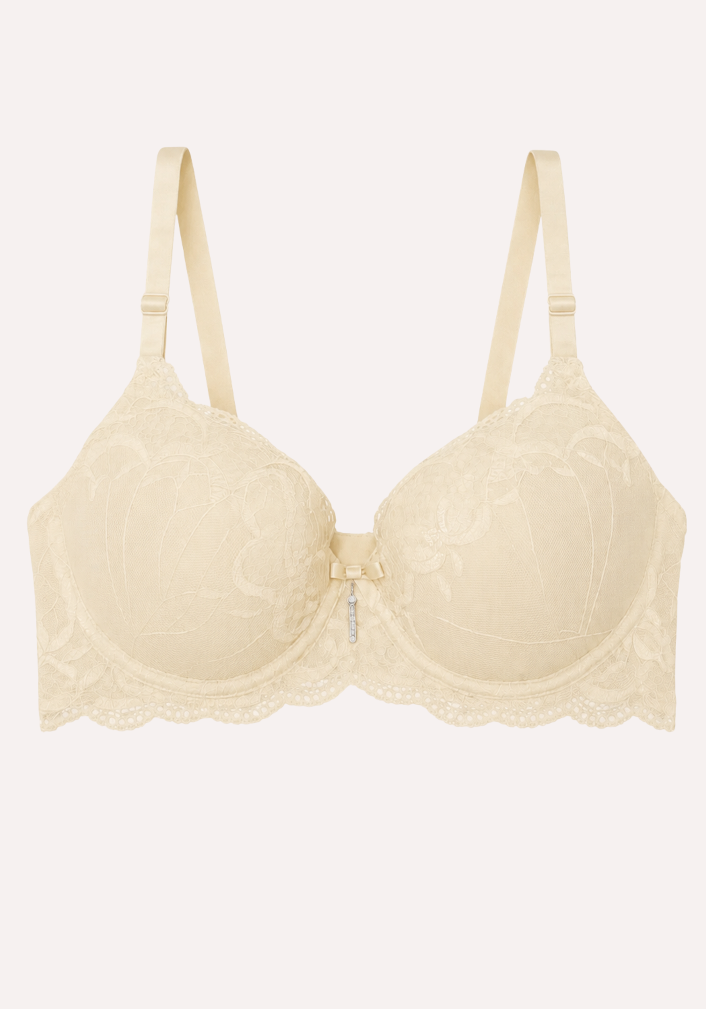Lace Hollow Bra