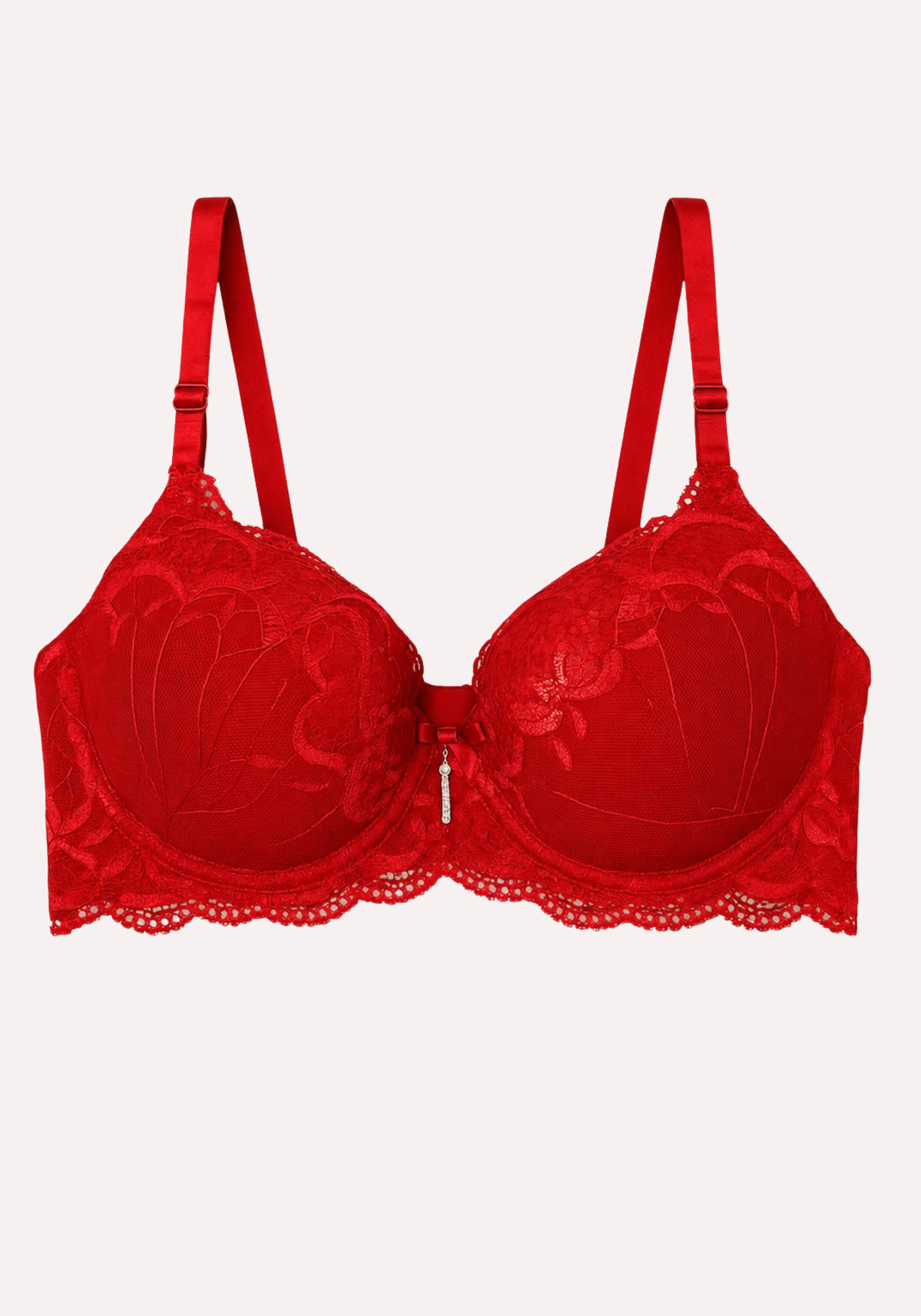 Lace Hollow Bra